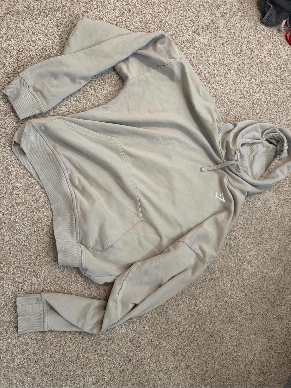 Crest Oversized Hoodie